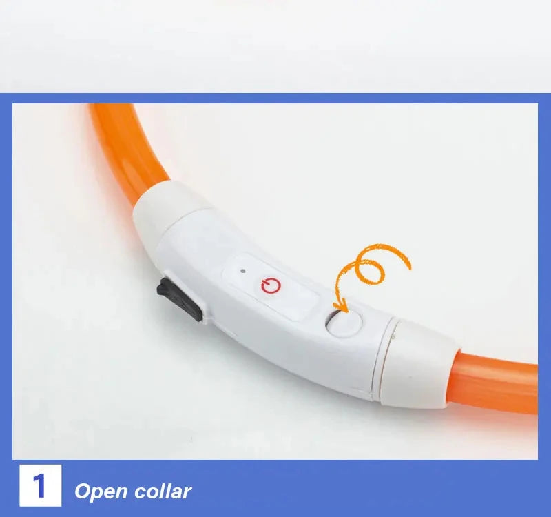 USB Rechargeable LED Safety Collar for Pets
