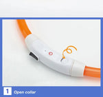 USB Rechargeable LED Safety Collar for Pets