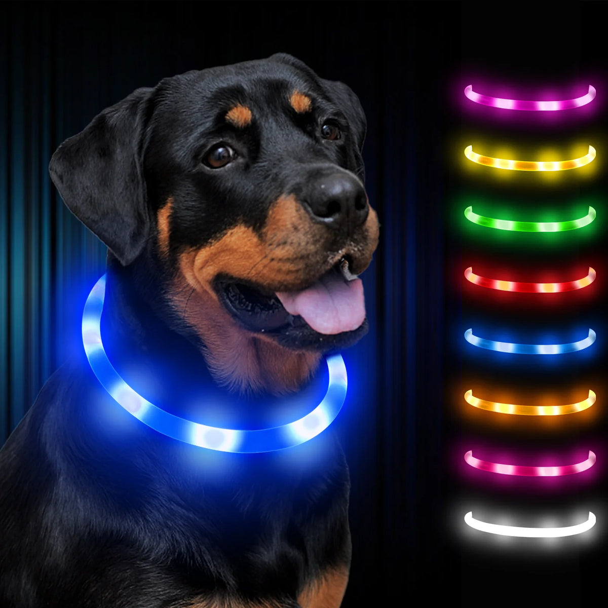USB Rechargeable LED Safety Collar for Pets