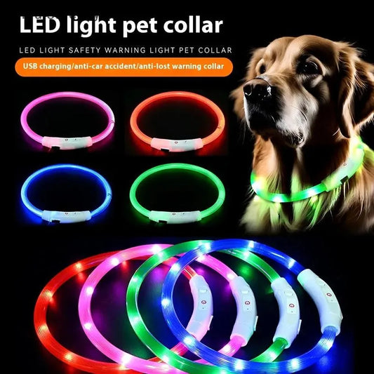 USB Rechargeable LED Safety Collar for Pets