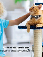 Reflective Breakaway Cat Collar with AirTag Holder