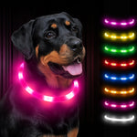 USB Rechargeable LED Safety Collar for Pets