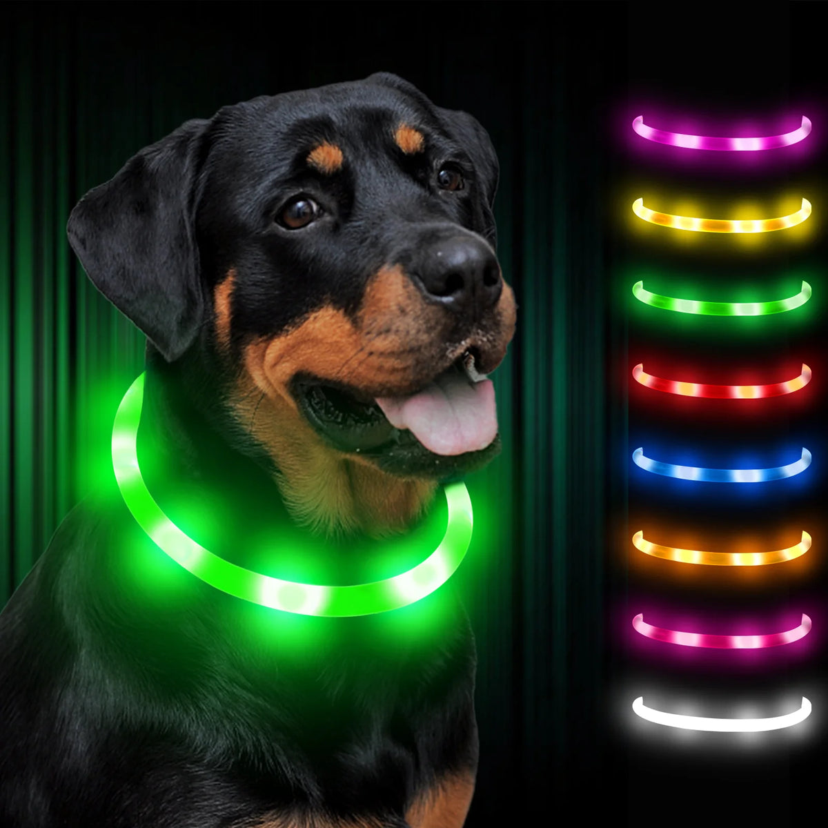 USB Rechargeable LED Safety Collar for Pets